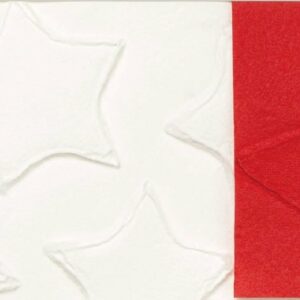 Papel de regalo, estrellas rojas relieve. 70×100