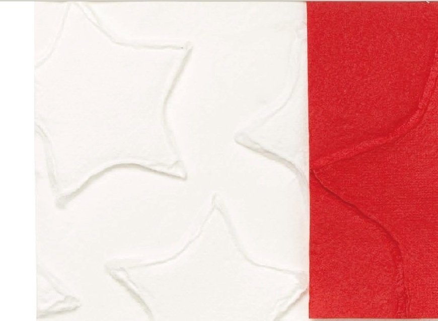 Papel de regalo, estrellas rojas relieve. 70x100