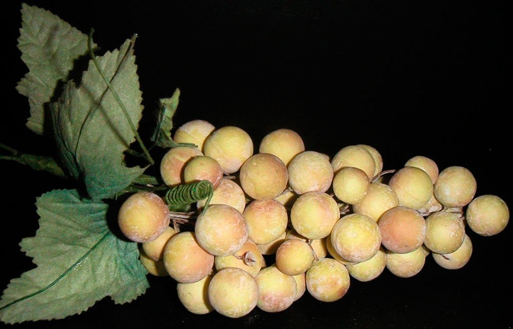 Racimo de uva amarillo otoño. Varios tamaños
