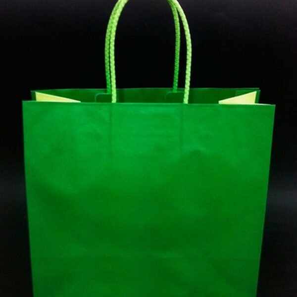 Bolsa bicolor verde / 2 tonos 25x12x24 C/5 unidades