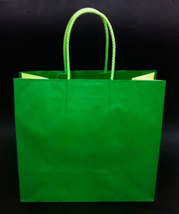 Bolsa bicolor verde / 2 tonos 25x12x24 C/5 unidades