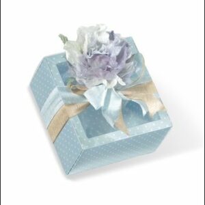 Caja de regalo azul claro con topos/tapa transparente 12x12x3.2 cms. C/5 uds. Varios tamaños