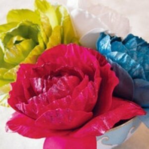 Flor grande. Varios colores