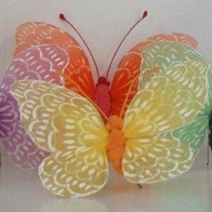 2 Mariposas surtidas 17×13 cms