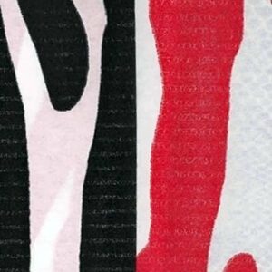 Pack de 5 hojas de papel de regalo zebra
