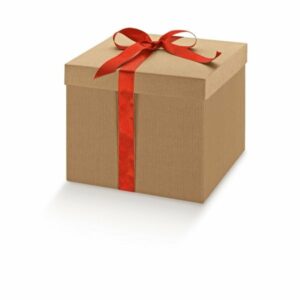 5 Cajas de regalo micro canal natural 14x14x8 cms