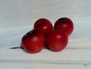 12 Manzanas rojas 5x5 cms