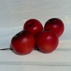 12 Manzanas rojas 5×5 cms