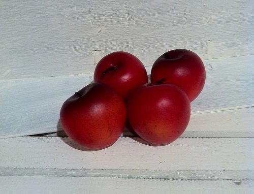 12 Manzanas rojas 5×5 cms