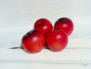 12 Manzanas rojas 5 cms