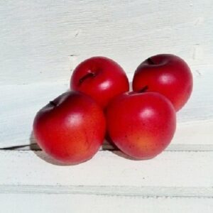 12 Manzanas rojas 5 cms