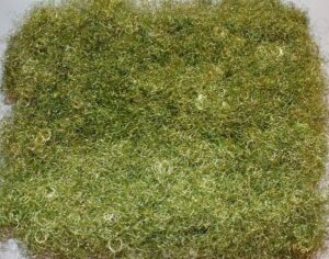 Cabello de ángel verde