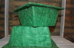 Set de 2 cestos / maceteros ábaca verde