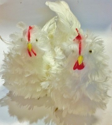 2 Gallinas con plumas blancas 22×15 cms
