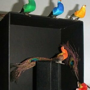 12 Pavos reales con pinza. Varios colores