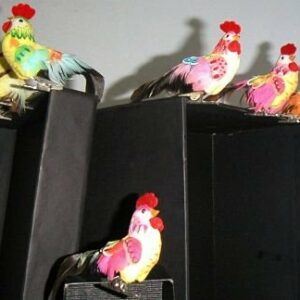 12 Gallinas con pinza. Colores surtidos