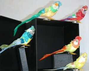 6 Papagallos con pinza. Colores surtidos