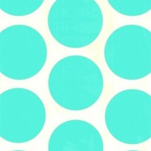10 Sobres/bolsas de papel lunares 10.7×17.8 cms
