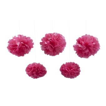 5 Pompones fucsia