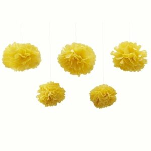 5 Pompones amarillos