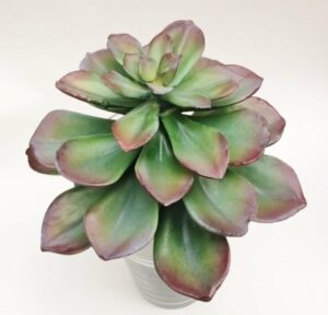 suculenta-siempreviva-planta-cactus-artificial