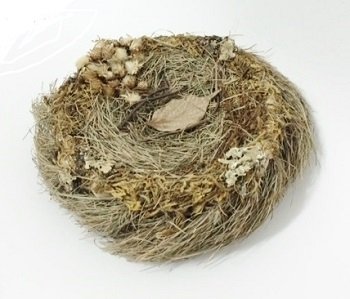 2 Nidos de paja natural 18x5 cms