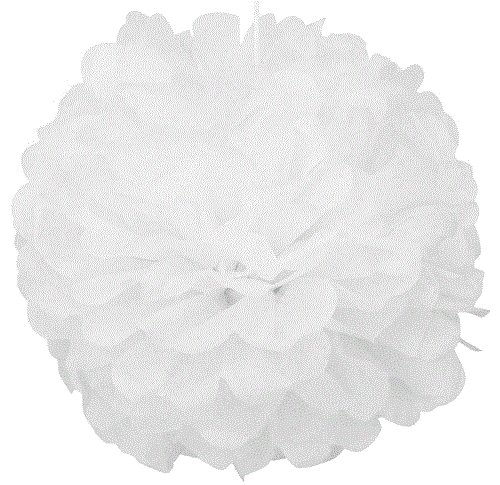 Pompones blancos 25 cms