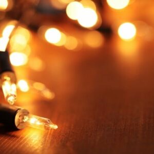 Guirnalda de luces de Navidad. 160 bombillas