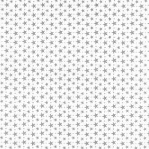 40 Hojas de papel de seda, Estrellas plateadas