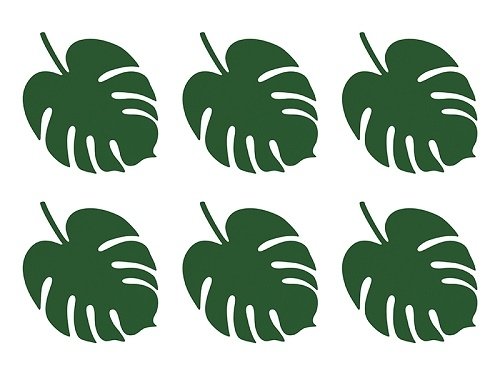 6 hojas tropicales-hojas de monstera.