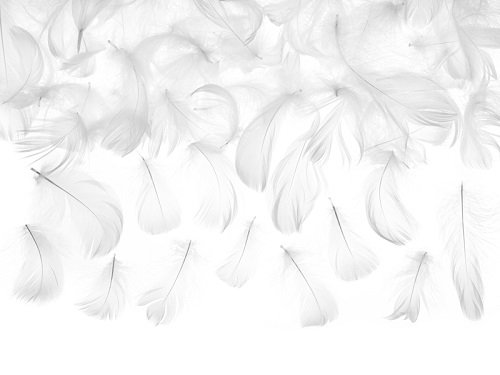 Plumas blancas.