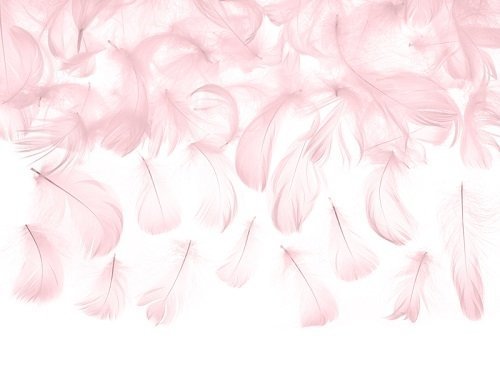 Plumas rosa.