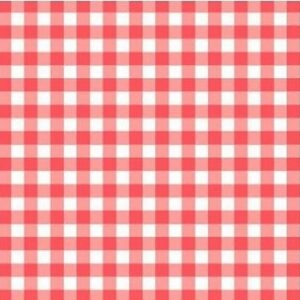 10 Manteles individuales de papel con cuadros vichy en rojo