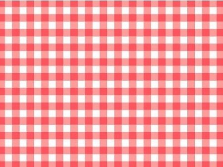 10 Manteles individuales de papel con cuadros vichy en rojo