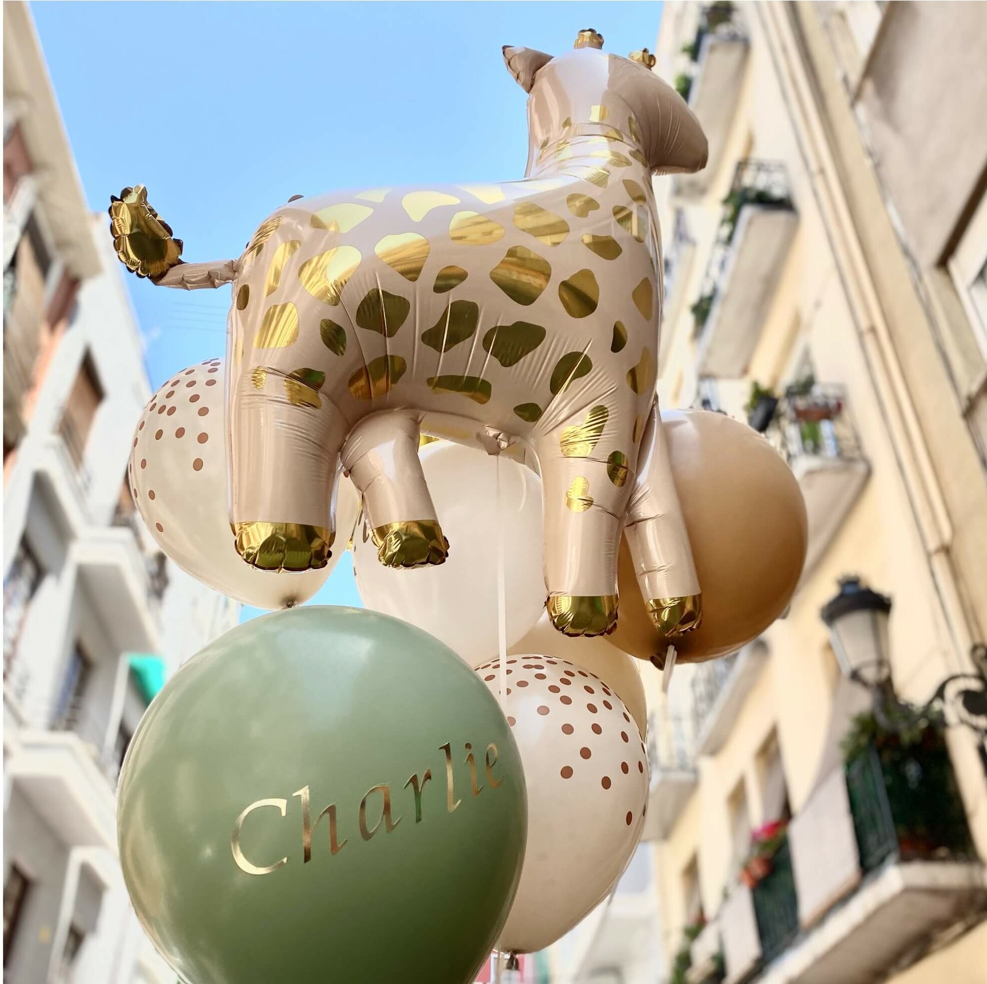 Tienda de globos en Valencia