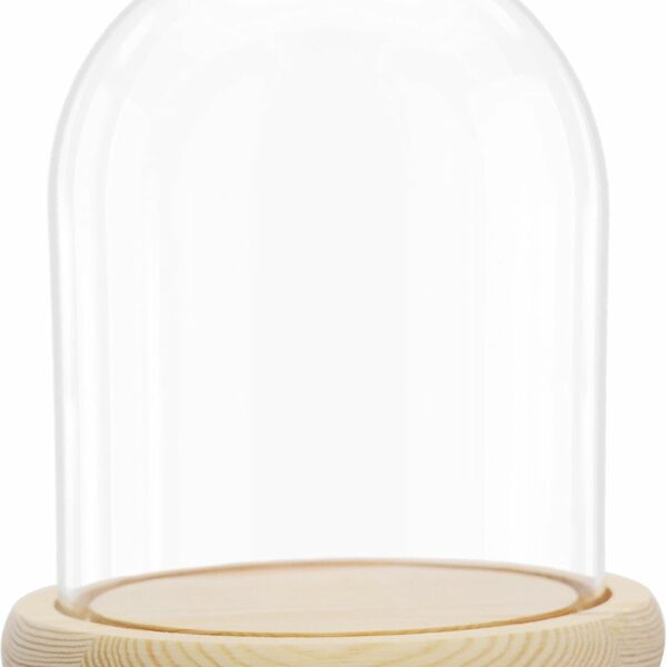 Cúpula de cristal con base de madera – Campana de cristal