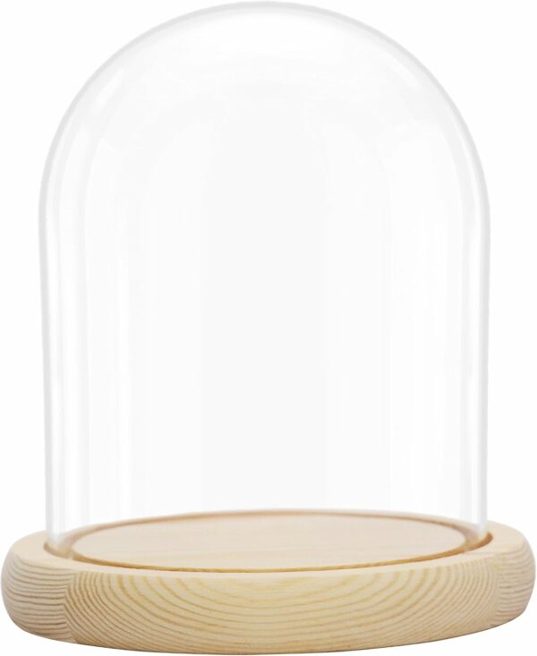 Cúpula de cristal con base de madera - Campana de cristal